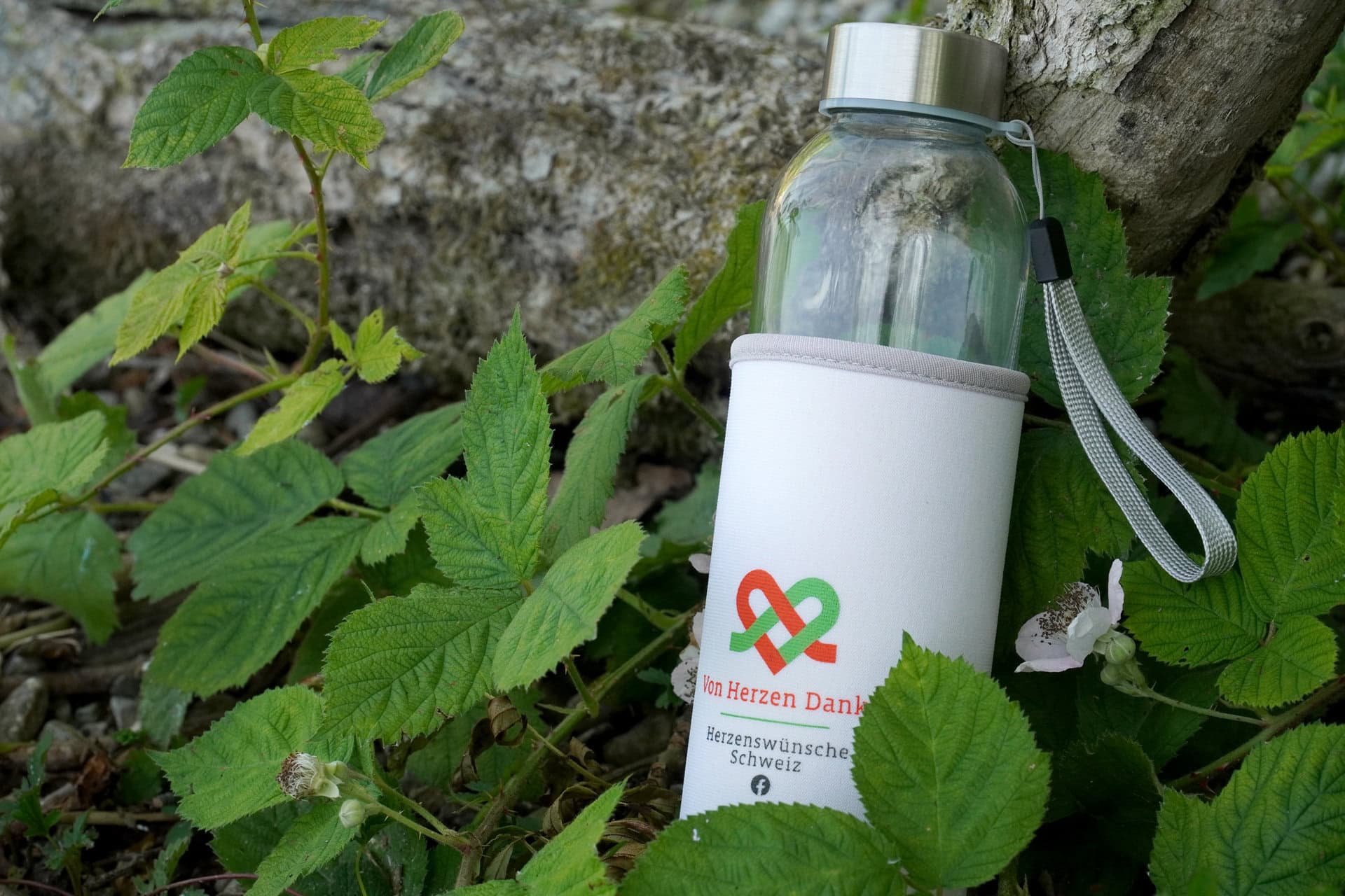 Trinkflasche im Wald mit Blattwerk